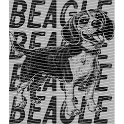 Animal Text Series-AT 3757